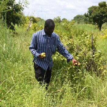 Des terres arides à une source de nourriture, de revenus et de développement