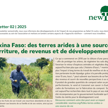 Newslettre Novembre 2025
